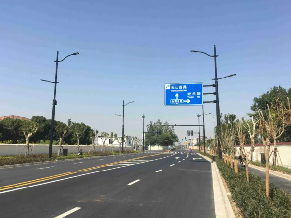 進口博覽會周邊道路多桿合一路燈