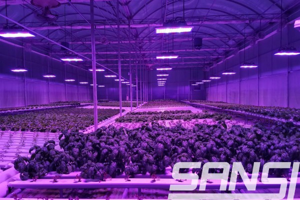 農(nóng)場(chǎng)案例照片