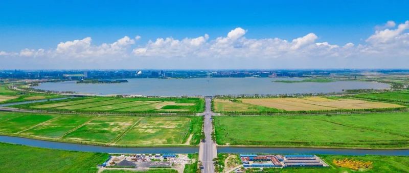 臨港WLA科學(xué)社區(qū)│三思智慧綜合桿照亮未來“最強大腦”聚集地