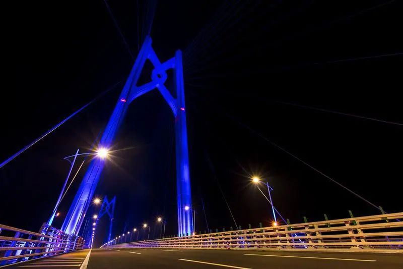 紐約時(shí)代廣場(chǎng),進(jìn)博會(huì),這家,LED全球領(lǐng)軍,民營企業(yè),贏的奧秘